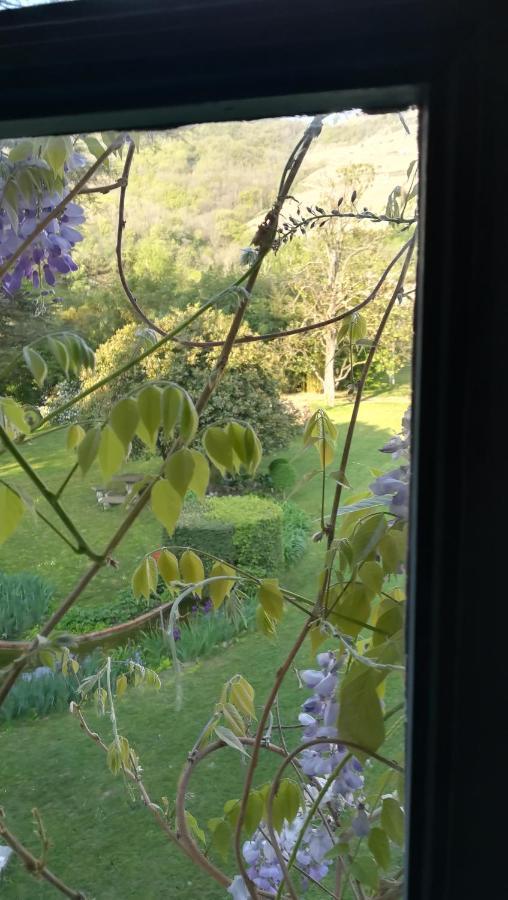 مبيت وإفطار Mauves Les Palmiers المظهر الخارجي الصورة